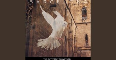 the butterfly graveyard - barcelona