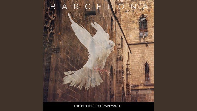 the butterfly graveyard - barcelona