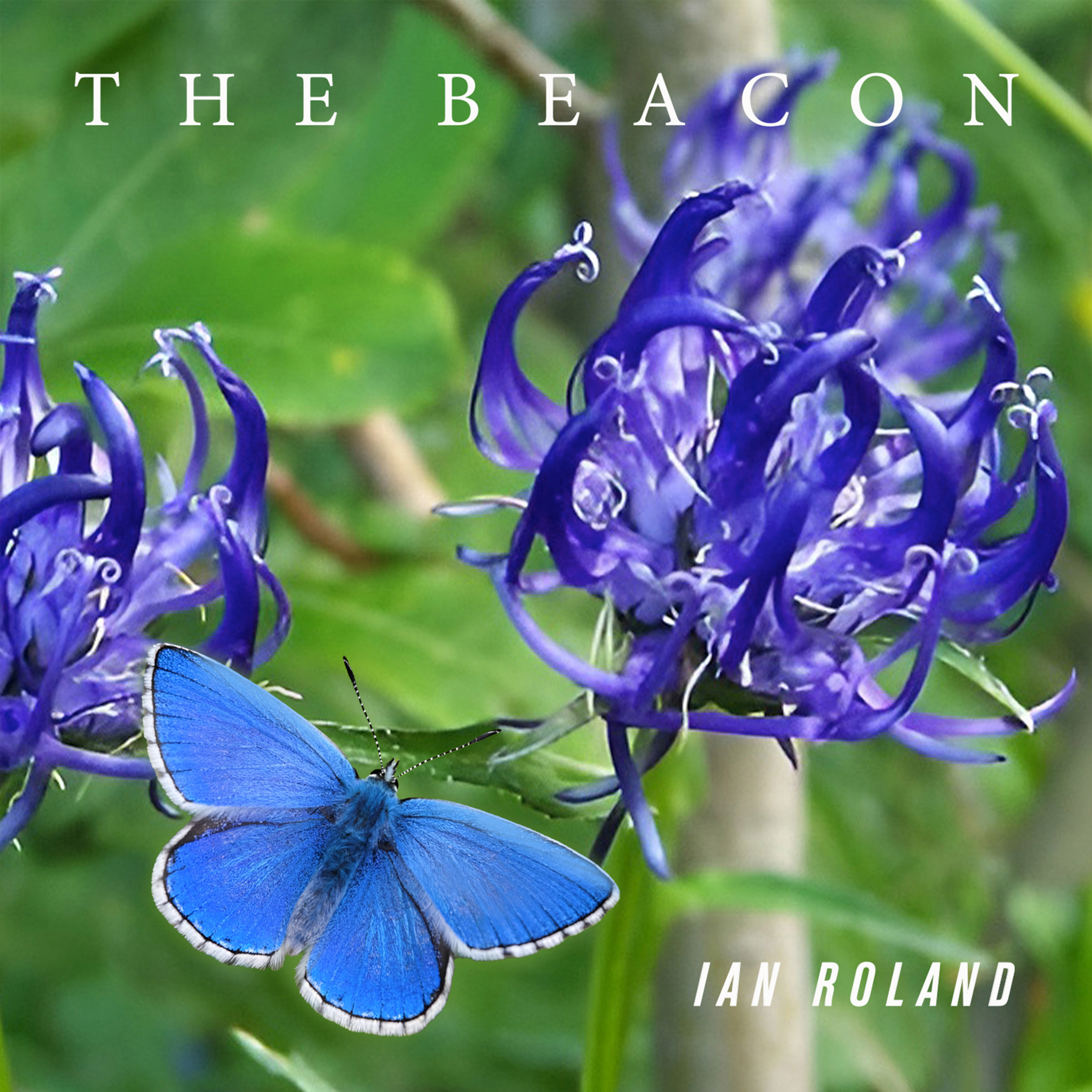 ian roland - the beacon