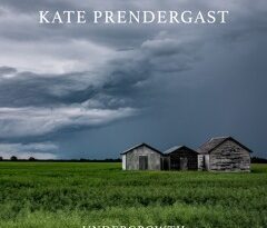 kate prendergast - undergrowth