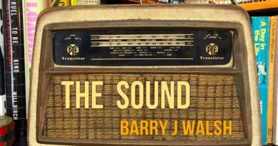 barry j walsh - the sound