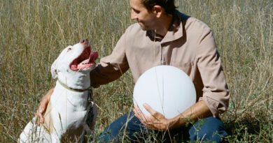 metal bubble trio puppy shot